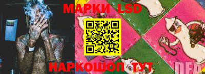 стаф Кингисепп