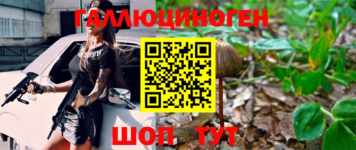 Галлюциногенные грибы Magic Shrooms Кузнецк