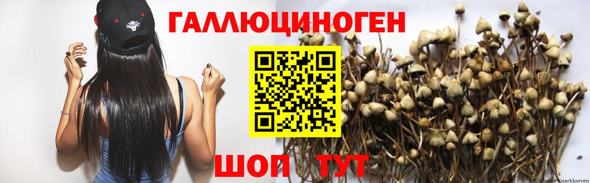 Галлюциногенные грибы мухоморы  Псилоцибиновые грибы Magic Shrooms  Вход с VPN  Кузнецк 